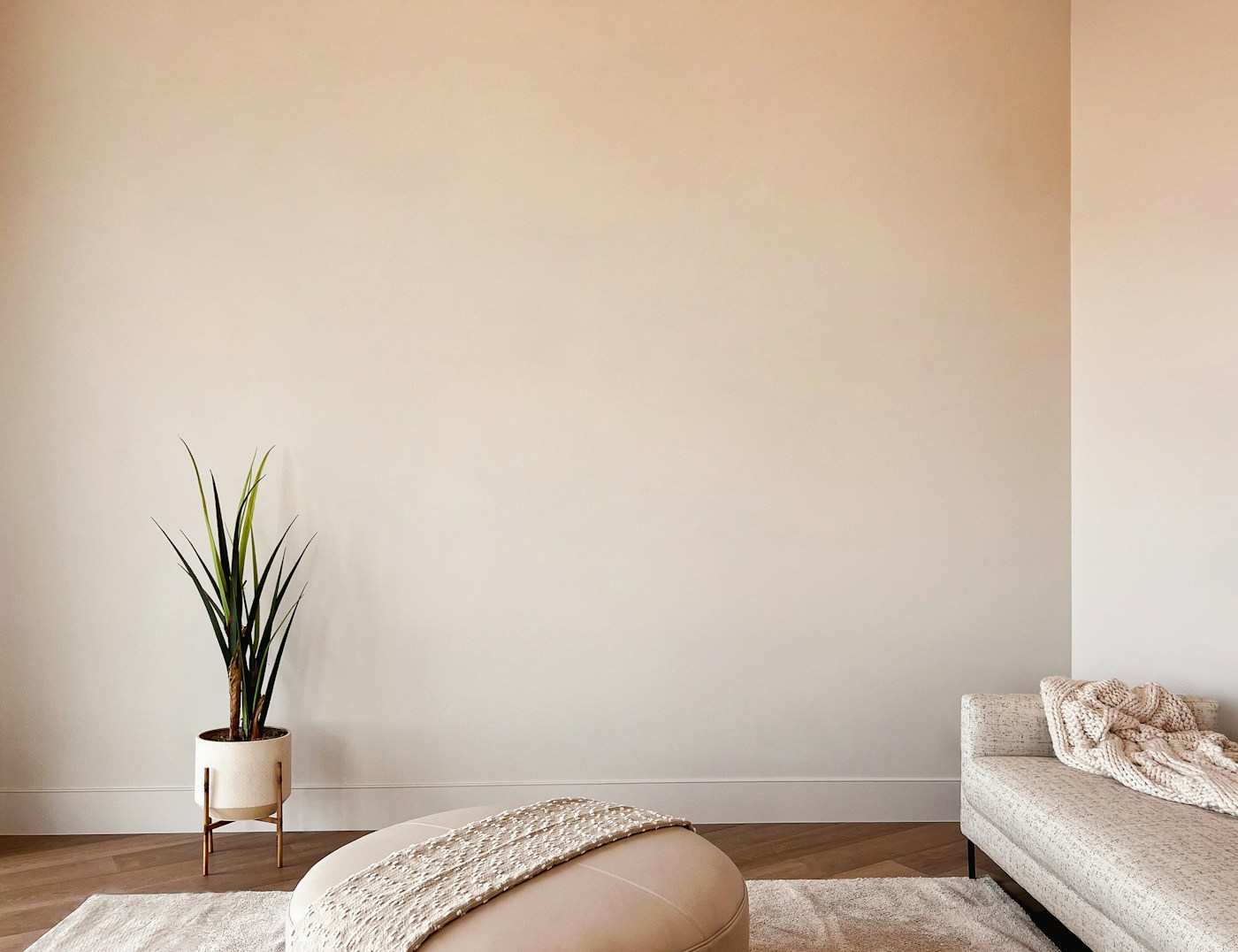 Sample living room wall with a plant and the edge of a sofa, standing in for the visitor's own photo