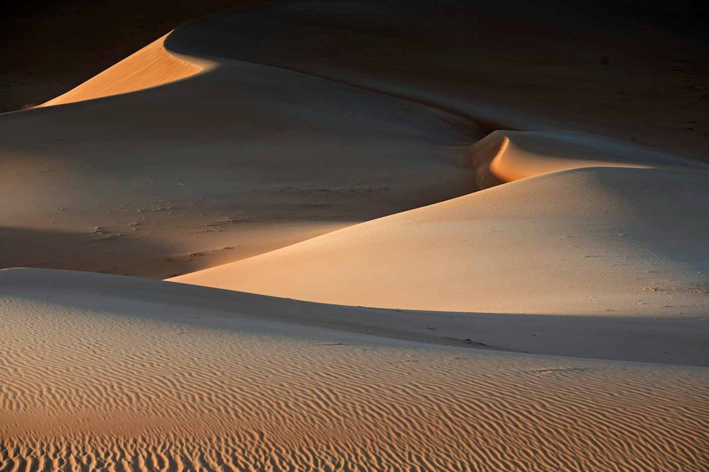 Close photograph of the print surface showing light falling across the dunes